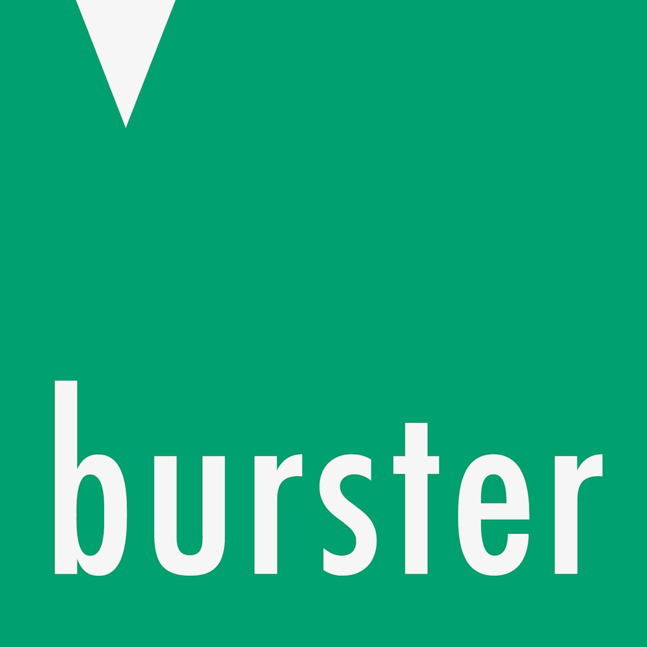 BURSTER ITALIA srl